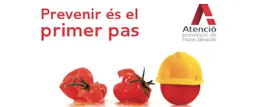 Partenaire 4
